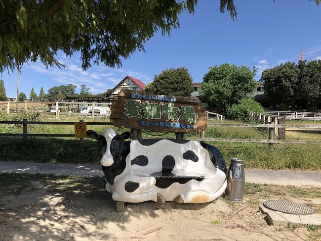 子どもに動物をみせたいと、今日は、愛知牧場にお出かけです。<br /><br />お天気も恵まれたので、大人は、アイスクリームが目的です。<br /><br />思ったより、いろいろな動物もいて、結構楽しめました。<br /><br />帰りに売店で、お土産を購入。牛乳大好きな一家は、その場で<br /><br />飲めるようになっているのかと、思ってました。<br /><br />売店の隅っこに、プリンと、一緒に販売してました。<br /><br />写真撮影を忘れましたが、とても美味しかったです。<br /><br />ごちそうさまでした。