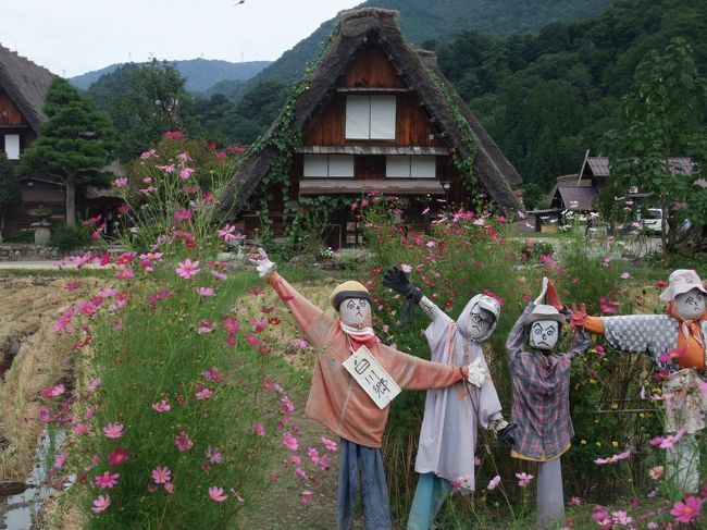 私、けっこう世界遺産回ってますけど、白川郷、まだ行ってなかったんだよね。白川郷って日本の世界遺産の中でもけっこう人気じゃないですか。実は5月に予定してたんだけどコロナで取り止め。9月もどうかなぁって思ったけど、&quot;GO TO トラベル&quot;の後押しもあり念願の白川郷行って来ました。<br /><br />白川郷:「展望台」→「和田家」→「であい橋」→「合掌造り民芸園」→「明善寺」→ランチ「朴葉焼き」→夕食「白エビ」