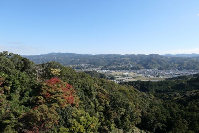 2020年11月8日-15日、伊豆半島に行きました♪<br />素敵な紅葉、素晴らしいパノラマ、美しい山岳や海、美味しいグルメを愛犬と一緒にたっぷりと楽しんできました♪<br /><br />☆Vol.14：第2日目（11月9日）伊豆長岡♪<br />伊豆の国パノラマパーク。。<br />山頂を中心に遊歩道が張り巡らされていて、<br />ちょっとしたハイキング気分ができる。<br />ほぼ360°のパノラマを愛でながら、<br />また、色付き始めた紅葉を眺めて。<br />一通りに歩いたら、<br />ゴンドラに乗って帰る。<br />ゆったりと眺めて♪<br />