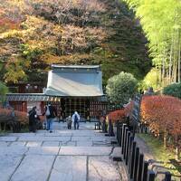 瑞鳳殿、仙台城跡、大崎八幡宮を巡る(仙台市内)