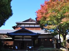 旧朝倉家住宅、菅刈公園などの紅葉巡り　2020年11月