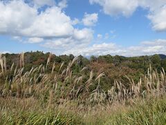 秋の伊豆旅♪　Vol.20　☆修善寺虹の郷：ロムニー鉄道から秋の風景♪