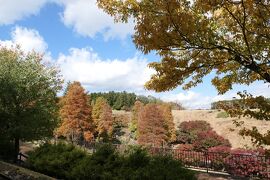 秋の伊豆旅♪　Vol.21　☆修善寺虹の郷：ロムニー鉄道から秋の風景♪