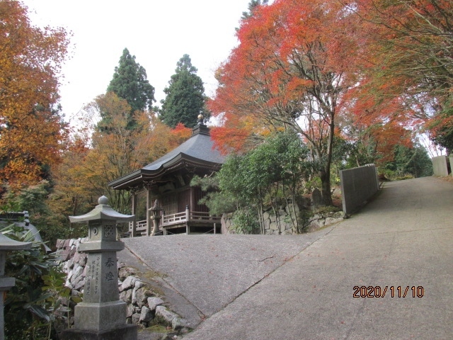 四国霊場第66番札所 巨鼇山（きょごうさん）千手院 雲辺寺。四国お遍路霊場巡りには何か所かの「遍路ころがし」と呼ばれる難所がある。霊場で一番高い９１１ｍの山中にあるこの寺も「遍路ころがし」と呼ばれている。各県に１か所以上はあるが、特に多いのはスタート直後の徳島県で、「一に焼山二にお鶴、三に太龍」と言われるように３か所もある。阿波徳島は「発心の道場」。厳しい山道に音を上げて脱落するか、それを乗り越えて更にその先の土佐「修行の道場」に向かうかの早い段階での選別を迫られる。「ころがし」は「ころびバテレン」の用法にあるように、強い信仰心を喪失させるような難所で、実際に坂道に足を取られて転ぶことよりも、精神的な転び、信仰心を試す意味合いが強かったのだと思う。ここ雲辺寺のある讃岐は最後の道場「涅槃の道」であり、ここまでやってきたお遍路さんには既に強固な信仰心が植え付けられ、今更「転ぶ」ようなことはない。従ってこの場所での「遍路ころがし」は精神的なことより、高い山に登るという、物理的な転倒の危険を注意喚起しているのだろう。<br /><br />「涅槃の道場」の最初のお寺。参道には五百人の羅漢、阿羅漢が出迎えてくれるが、正にその「涅槃の道にようこそ」、との歓迎の意だろう。知人の井野さんが数年前に亡くなり、今は目黒の羅漢寺に眠っている。羅漢寺という名前のお寺は全国に点在していると思うが、その総本山は大分耶馬渓近くにある羅漢寺で、以前青の洞門を見た後、人里離れたその寺に行ってみた。５００人の容貌、様相を子細に見ることはしなかったが、人さまざまな性格、生き様、人生の凝縮が５００のタイプにプロトタイプされていると思った。お釈迦さんの没後、王舎城の近くにある霊鷲山に５００人の阿羅漢が集まって、仏典整理を行った。５００人の悟りを開き、涅槃の道に入った阿羅漢。参道に並ぶその５００人の羅漢像に睨まれ、見つめられると身もこそばゆい。<br /><br />この寺の山号「 巨鼇山」。初めて見る文字で、何と読むかも分からず、調べてみると「きょごうさん」。「 鼇」は「ごう」と読むようだ。意味は「亀とか大亀、大なまず」。「 鼇山」とは「海中で仙山（仙人が住む山）を支える大海亀」との意味で、弘法大師なのか誰なのか、誰が最初にこの山号を付けたのか、昔の人は全く難しい文字と謂れを知っていたものだ。寺伝によれば空海はこの山に３回登り、最初は１５歳の時に善通寺の上棟木材を得るためにこの山に登り、その時霊気を感じこの地に堂宇を建立したのが始まりという。次は唐から帰朝した後の３５歳時、ここで秘密灌頂の儀式を行った。更にその１１年後、嵯峨天皇の勅命を受け、ご本尊の千手観世音菩薩を刻み、七仏供養を行ったとのことである。<br /><br />徳島の難所、霊場で３番目に高い焼山寺、鶴林寺、太龍寺にはへとへとに疲れた感じの歩きお遍路さんを何人か見かけたが、ここでは全く見かけない。時間が早いせいなのか、コロナ禍で巡礼を控えているのか・・。この後２２ケ寺を訪問するが、讃岐路に於いては、一人の歩き遍路には出会わなかった。６月の愛媛、伊予路では何か所かのお寺で見かけることもあったが・・。初夏と初冬との季節の違いもあるかも知れないが・・。さて、紅葉に縁どられた参道を下り、大師堂、本堂と参詣し、梵鐘を撞き、御朱印を頂く。窓口の若い寺僧に「車で来られたんですか？」と聞かれた。ここにお寺があるのだから、車道もできているのだろう。「車だったら協賛金（車道利用料）を収めて下さい。」とのことだった。ロープウエイで往復２０００円。車だったら協賛金は幾らになるのだろう・・。