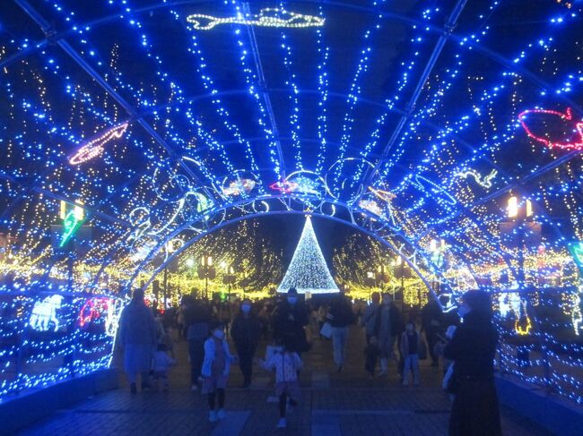 午後､時間が空いたので百草園＆高幡不動へ紅葉を見に行きました<br />昔はこの辺へよく通ったので懐かしさも感じながらぶらぶら歩いて25,867歩<br />多摩センターまで歩き､多摩センター駅前のイルミを見て帰ってきました<br /><br />【表紙の写真】多摩センターイルミネーション『光の水族館』