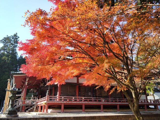 同県内の箱根から始まって、和歌山、西表島と続いたGoTo旅の第4弾は紅葉真っ盛りの京都へ。<br /><br />オーバーツーリズムで大混雑と聞いていた京都に行くなら、外国人がいない今年がチャンス？　<br /><br />ほぼピーク時ということもあり、GoToの威力もあり、それなりに混雑はしていたけれど、きっといつもの年はこんなもんじゃないのでしょうね。滞在中は夏のように暑いぐらいの晴天で、青空に映えるきれいな紅葉がたっぷり楽しめました。<br /><br />11/17：新幹線で京都→坂本経由で旧竹林院を見てから比叡山へ。宿泊は宝ヶ池プリンスホテル　→今ココ　<br />11/18：大原三千院、錦市場、永観堂、南禅寺、高台寺ライトアップ　https://4travel.jp/travelogue/11664384<br />11/19：近鉄で奈良へ。東大寺、興福寺。京都へ戻り三十三間堂、二寧坂・産寧坂　https://4travel.jp/travelogue/11665237<br />11/20：高速バスで鳴門へ。大塚国際美術館。夜の飛行機で羽田へ　https://4travel.jp/travelogue/11666828<br />