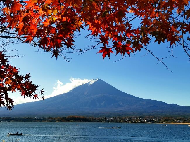 今年は開催が難しいマラソン大会。<br />6月に山形で行われる予定だった「ひがしねさくらんぼマラソン大会」にエントリーしていたのですが、中止となってしまい残念でした。<br /><br />いつもと違うところで走れたらいいのに…と思いを捨てきれないまま、「富士山マラソン2020」がオンラインで開催されることを知り、<br />ちょうど夏頃から富士五湖あたりで走りたいという強い思いがあったため、エントリーして現地で走ろう!!というわけで、行ってまいりました!!<br /><br />感染症予防は慎重に気を付けながら、1泊2日のランニング&ドライブ旅行となりました。<br /><br />