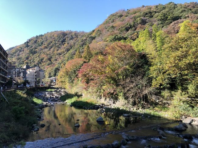 紅葉を見に箱根へ。<br />１１月の３連休初日の１１／２１、混雑していそうな箱根の山は避けて、箱根湯本周辺の散策。<br /><br />箱根湯本駅から、あじさい橋を渡って早雲寺へ。旧箱根街道に沿って、白山神社、正眼寺、旧街道石畳、箱根観音。<br />箱根観音からは、急な階段を一気に降りて、須雲川へ。須雲川沿いの滝通りからの眺めはこの日一番の景観でした。<br />最後に、旭橋を渡り、駅前商店街を通って、箱根湯本駅へ。<br /><br />ゆっくり歩いて、２時間半ほどの箱根散策でした。