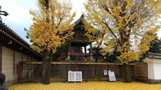 行ったことのない京都駅付近のお寺へ紅葉を見に。<br /><br />1日目 平安神宮~西本願寺~東寺<br />