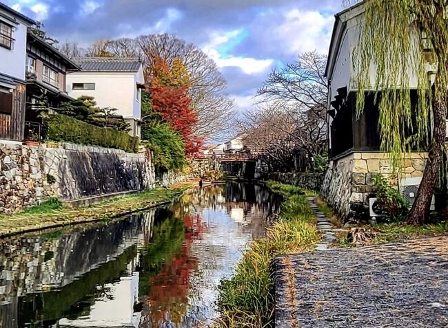信長のゆかりの地安土城趾と近江八幡を歩いて来ました。