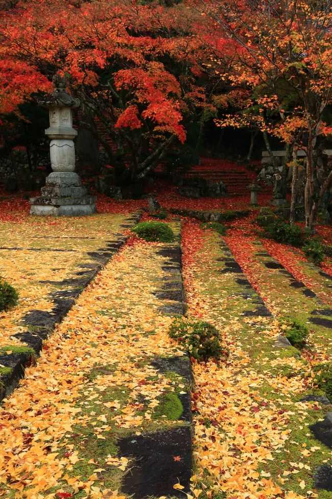 紅葉&カニの旅。<br /><br />1日目 11月21日<br />滋賀<br />東光寺(とうこうじ)<br />胡宮神社(このみやじんじゃ)<br />近江孤篷庵(おうみこほうあん)<br /><br />石川<br />苔の里(こけのさと)<br /><br />2日目 11月22日<br />石川<br />兼六園(けんろくえん)<br />武家屋敷 野村家<br />寺島蔵人邸(てらしまくらんどてい)<br /><br /><br />