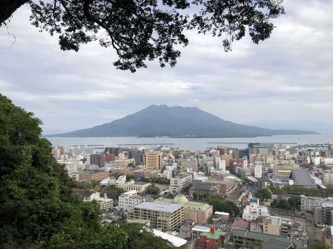 Go toを利用して、ずっと行きたかった指宿温泉の白水館へ！