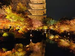 GoToトラベル第二弾　紅葉の京都2020　2日目