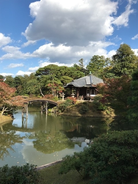 お気に入りの「ホテル日航プリンセス京都」が連泊で取れたので、ゆっくり京都の町を歩き、美味しいものを食べ、運が良ければ、桂離宮か修学院離宮に行きたいと思い出かけました。京都御所で申し込みをしてから日程を決めようと思い、ほぼ白紙の状態で出発しましたが、運よく１１月３日に桂離宮の予約が取れ、以下の日程になりました。<br />１１月１日　京都御所　→　京都府立植物園<br />１１月２日　高山寺　→　西明寺　→　神護寺　→　嵯峨野散策<br />１１月３日　南禅寺　→　桂離宮　→　京都駅<br /><br />京都に住んでいるかのようにのんびり歩き、美味しいものを食べ、ホテルライフを楽しもうと思い出かけましたが、結果的には、いつものように、毎日約２万歩の強行軍となりました。特に、2日目は雨の中、傘を差しながら清滝川のハイキングコースを歩き、大変でした。紅葉には、少し早かったけど、その分人が少なく静かな京都を楽しむことができました。<br /><br /><br />