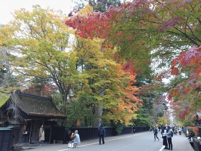 GoToトラベル5回目　秋彩みちのく11景癒しの休日（3日目/3日）。<br /><br />毎朝バス乗車時に添乗員さん（以下敬称略）が体温をチェック、3回計測、額で37.５度、37.4度　手首で36.9度。「大丈夫ですかぁ？」「はい！」<br />原因は昨日のあさ開で購入した日本酒を起床してから飲んだためかと思います。コップ半分くらいですが日本酒ヤバイですね。帰りの飛行機に乗れないとマズイのでお昼もビールやめます。禁酒の効果で、昼過ぎには35度に戻りました。<br />超ベテランのガイドさん（以下敬称略）は本人曰く「標準語」で丁寧に説明してくれますが、微妙！。<br />ガイドのギャグ、東北なまりで「スシ」は「スス」、煤をくうだか？<br /><br />以下　本日の予定です。<br />ホテル（8:00発）<br />【10景】田沢湖<br />【11景】角館・武家屋敷通り<br />秋田名物・稲庭うどん御膳 秋田ふるさと村 佐藤養助店　昼食<br />仙台空港:ANA740 (18:55)　　→　　伊丹空港<br />※写真は角館武家屋敷、石黒家から歩いて青柳家付近<br /><br />