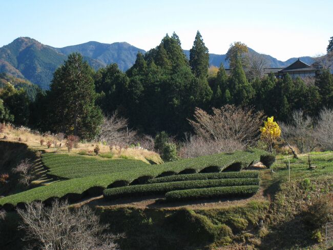 田峯城？、こんな山深い所に山城があり、歴史の里として整備されているようなので行ってみました。帰りに松平東照宮にも寄りました。