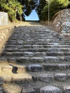 松山から高知へ楽な高速バス移動・・3日目