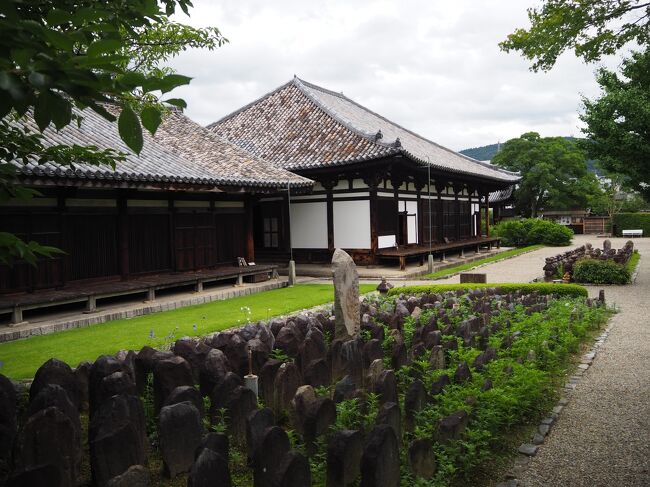 オトコナラ～2020夏休みは35年ぶりの奈良～　③2日目後半は平城宮跡と元興寺。そしてようやく鹿と触れ合いすぐ飽きる