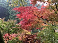 奥日田温泉梅ひびきと英彦山の紅葉