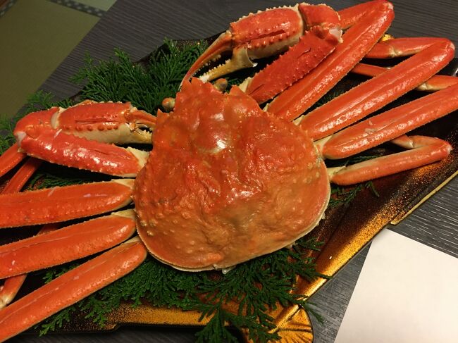毎年恒例のカニ。しかし今年はどうしよ~(-_-;)<br />いつもの城崎温泉は外湯が売りだけど、あの狭い脱衣場、絶対密になるやん…(@_@)<br />今年はやめにしようか…とも思ったけど、久美浜や網野周辺の小さな旅館はどう?人も少ないやろし、ちょっとマシちがう?<br />あのあたり、ムスメが子供のころは毎年のように海水浴に出かけたもんです。大きくなってからもカニ食べに行ったりしましたよね。もう何年も行ってないけど、久しぶりにどう?<br />あの辺行くなら、これも久しぶりに天橋立にもいってみよ。<br />この時期天気が心配…。「弁当忘れても、傘忘れるな」って言いうからね~。<br />でも、どうやら天気は大丈夫(^-^)ってか、暑いくらいやったよ!<br /><br />宿には砂風呂もあって、デトックス!<br />カニも温泉も大満足でした(^-^)