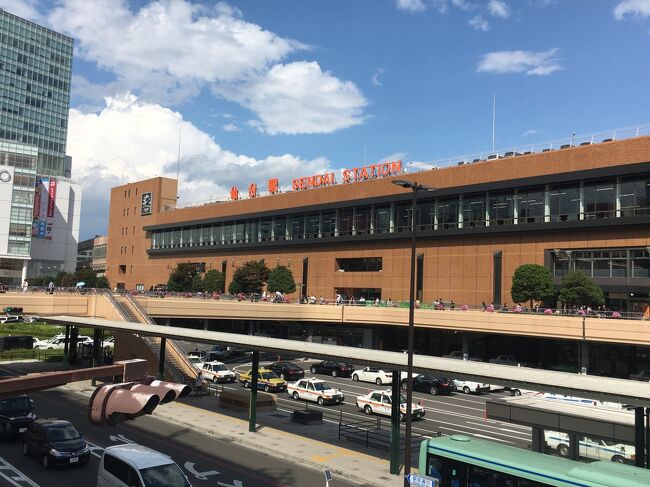 2018年夏の旅行記です。<br />18きっぷの残り2枚は、牛タン食べに仙台へ。<br />当時まだ全面復旧しておらず、富岡から代行バスに乗るルートで常磐線経由で向かいました。<br />