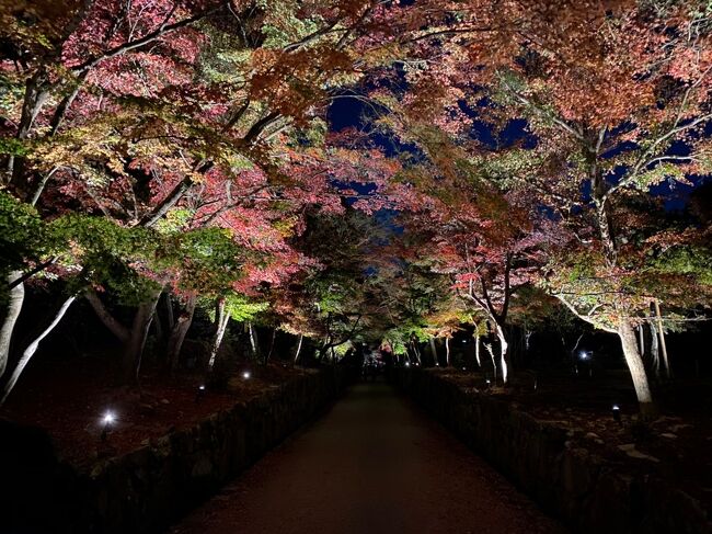 2泊3日！京都で紅葉狩り♪(1日目)