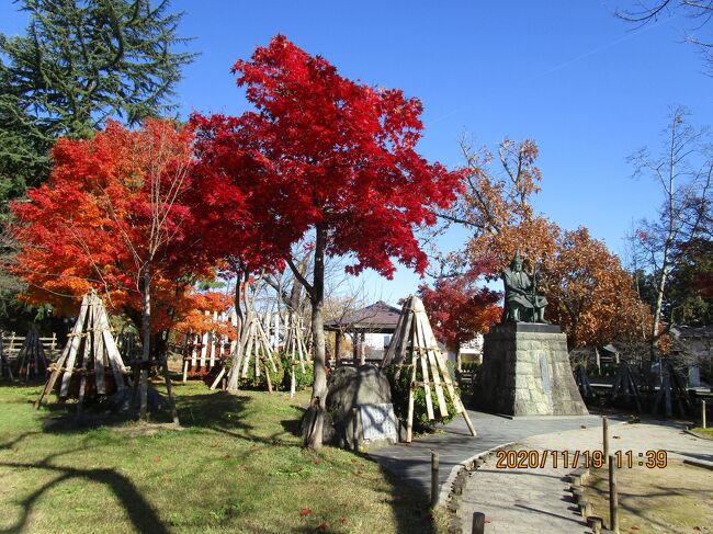 晩秋の裏磐梯の五色沼を散策して、バスは「上杉神社」から「 立石寺」へ、そして「天童温泉」へと走りました。紅葉は何処も真っ盛りです。天気も良くて恵まれました。この日は山形のブランド牛をタップリと頂きました。昼食が「しゃぶしゃぶ」夕食は「すき焼」。GOTOトラベルキャンペーンを利用させて頂いて贅沢をさせて戴きました。観光は二度三度としていましたが、米沢牛をこんなに食することが出来たのを感謝します。