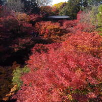 紅葉を満喫！秋の京都旅①