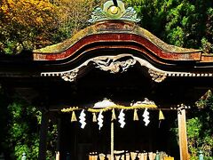 福井県-1　越前市a　大瀧神社・岡太神社(併記され)　☆本殿/拝殿-屋根は特異な造形美