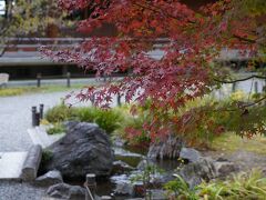 20201125-1 京都 城南宮に行ってみましょう。紅葉観られるかしら？