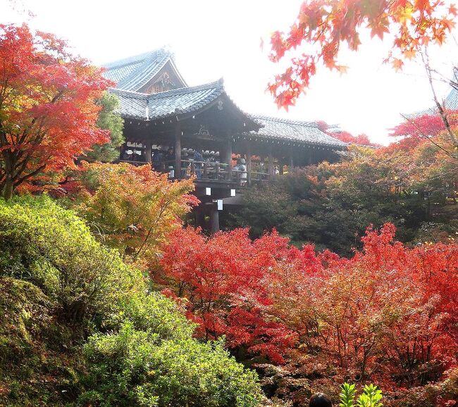 団塊夫婦の2020年日本紅葉巡りドライブー(京都４）紅葉狩り定番の東福寺へ