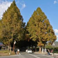 舞鶴・若狭プチ旅行　１泊２日