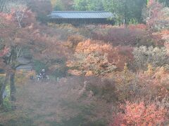 今年の京都の紅葉（その１）東福寺・南禅寺・永観堂・高台寺・清水寺