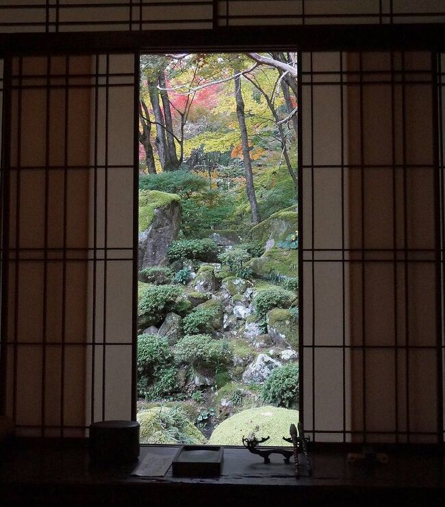 2020年の日本紅葉巡りドライブの最後は、滋賀&京都へ。紅葉シーズンでは、京都は2010年以来10年ぶり、滋賀は2002年以来18年ぶりだ。滋賀県内はほとんど車で移動したが、京都市内は、車で走り回るのはかなりハードルが高いので、滋賀に車を置いて電車で入ることに。京都の日曜日がものすごい混雑だった以外は、どこも比較的空いていて、久しぶりの滋賀・京都観光を堪能することが出来た。<br />本旅行記は、本シリーズ最後で、京都から滋賀に戻り、近江の隠れた紅葉名所・教林坊に立ち寄ってから、帰京するまでの旅行記です。(表紙写真は、教林坊・掛軸庭園)<br /><br />全旅程<br /><br />11/12 東京ー(中央道/名神)->湖東三山PA->西明寺ー>八日市駅前<br /> (ホテルルートイン泊) <br /><br />11/13 八日市駅前ー>永源寺ー>金剛輪寺ー>八日市IC-(名神)ー><br /><br />11/14 瀬田ー>石山寺ー>日吉大社&旧竹林寺ー>奥比叡ドライブウェイ<br /> ->横川ー>延暦寺ー>比叡山ドライブウェイー>大津京駅<br /> (車を駅前の駐車場に置く)-(JR)ー>京都ー(地下鉄)ー>烏丸四条<br /> (グリッズ京都四条河原町泊)<br /><br />11/15 烏丸四条―(バス)ー>高雄(神護寺から清滝へ)<br /> 清滝ー(バス)ー>嵐山(宝厳院)-(嵐電/地下鉄)ー>蹴上ー><br /> 永観堂ー> 蹴上ー(地下鉄)ー>京都市役所前 <br /> (ホテルビスタプレミオ和邸泊)<br /><br />11/16 烏丸四条ー(地下鉄/JR)ー>東福寺駅ー>東福寺―(京阪)ー><br /> 祇園四条->ホテルで荷物をピックアップして京都駅へ<br /> 京都ー(JR)->大津京(車をピックアップ)ー>大津ICー<br /> (名神)->八日市ICー>教林坊ー>八日市IC-(名神)ー><br /> 彦根ICー>彦根 (ホテルサンルート泊)<br /><br />11/17 彦根ー>(名神/中央道)->東京<br />