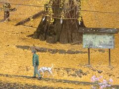 秋の広島・三次市をぶらぶらドライブ　～かわいいヤギに癒やされた♪～