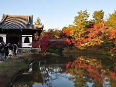 秋の京都2020（1）～高台寺界隈～