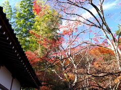 GO TO！京都　紅葉狩り1週目（後半）