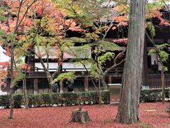 京都の紅葉～〆の“敷もみじ”～
