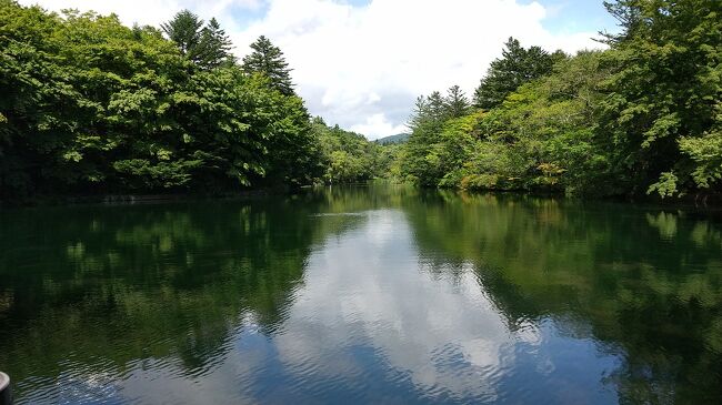 残暑の9月、秋を求めて軽井沢に行ってきました。<br />軽井沢を泊まりでゆっくり回ったのは初めて。高級別荘地にびっくり。お金持ち、いるとこにはいるものだな。