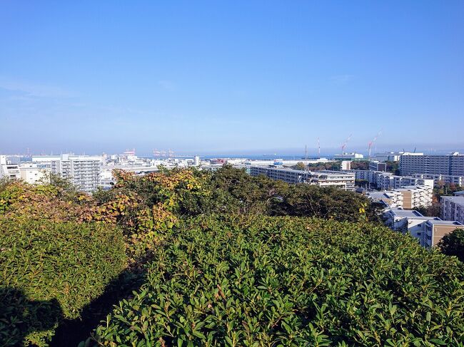 最近よく横浜市金沢区にある、横浜南部市場に買い出しにいくようになりました。<br />市場の野菜やお菓子、肉や魚、調味料の仲卸<br />aveという激安スーパーと楽しく食品の買い物が出来ます。<br />その南部市場から徒歩10分のところに、海岸段急の丘陵を利用した、富岡中央公園という大きめな自然公園があります。<br />横浜南部市場に入っているパン屋で、パンを買って、富岡中央公園にプチハイキングにいってきました。<br />東京湾が見える見晴らしの丘、小鳥の広場、小さな小川、アーチェリー場などがある森林公園です。