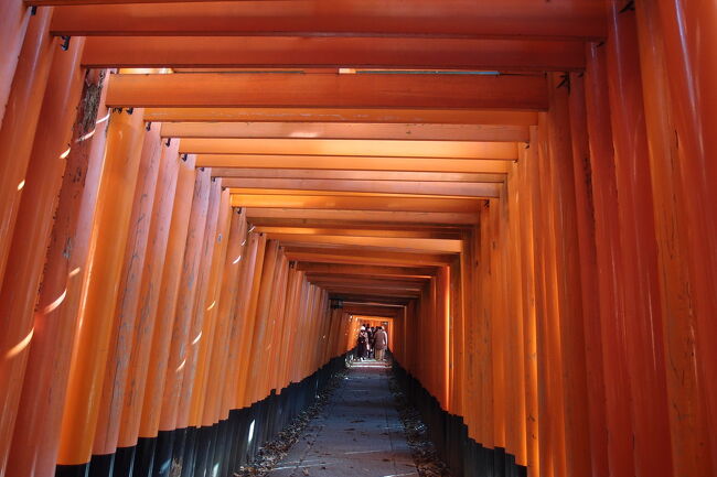 紅葉シーズンになったので、京都に旅行して来ました。<br />中学校の修学旅行以来の京都です。<br />今回は思い出作りに没頭したいと思います。<br /><br /><目的><br />①古都を感じる <br />②御朱印巡り<br />③着物レンタル <br />④紅葉散策<br />⑤伏見稲荷の千本鳥居 <br />⑥東福寺の本坊庭園<br />⑦清水寺周辺散策 <br />⑧金閣寺・銀閣寺<br />⑨御金神社 <br />⑩錦市場で食べ歩き<br />⑪嵐山散策 <br />⑫寺のライトアップ<br /><br /><交通手段><br />東海道新幹線 「品川~京都」「京都~品川」<br />京都バス「1日乗車券」<br />嵐山電車・地下鉄…。<br /><br /><宿泊先><br />メルキュール京都ステーション<br />
