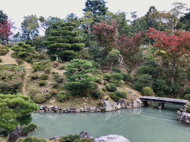 2020/11/19(木) PM①<br />いづ松で昼食をとってから、徒歩で泉涌寺・智積院へ。