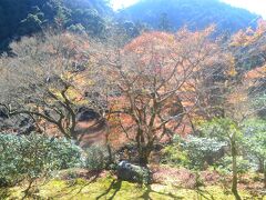 今年の京都の紅葉（その2）高山寺・神護寺