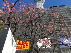 東京スカイツリータウン・周辺神社巡り