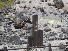 那須岳峠の茶屋付近と温泉神社・殺生石を散策しました