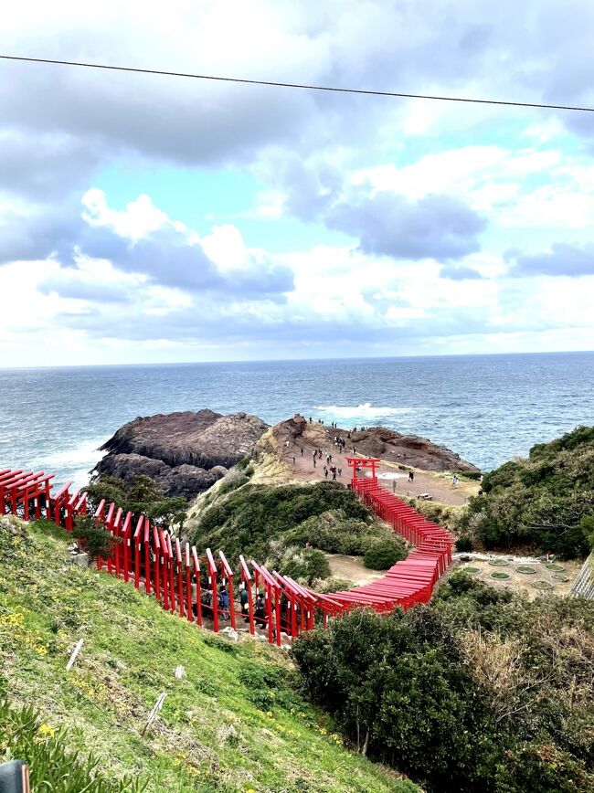 旦那が一度行ってみたいと言っていた角島大橋と元乃隅稲成神社を見にじいじも連れて山口へ！