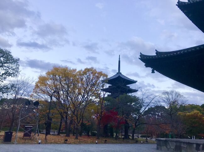 東寺初層特別公開～京都