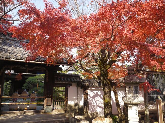 恐る恐るの京都旅行　２日目は喧噪な京都市内観光を避け、大津の西国三十三ヵ所霊場を回ります