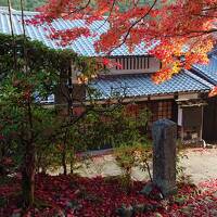 京都の紅葉を初めて見に行きました