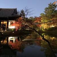 GoTo京都　紅葉づくし　1/2　清水寺～高台寺～八坂神社